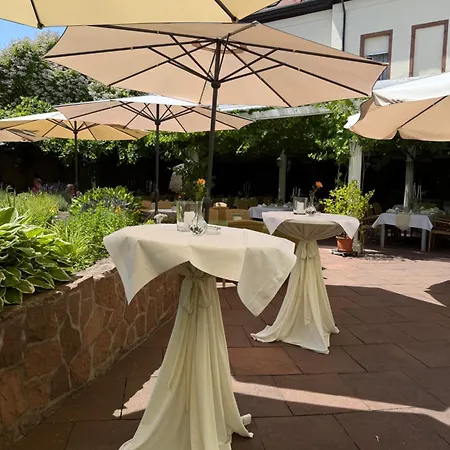 Winzergarten Hotel-restaurant Grosskarlbach