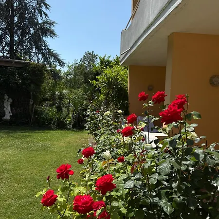 Winzergarten Hotel-restaurant Hotel