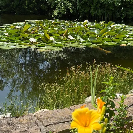 Hotell Winzergarten Hotel-restaurant