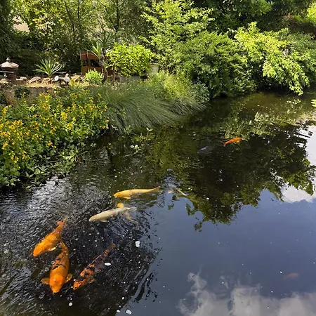 Winzergarten Hotel-restaurant Hotel 3*