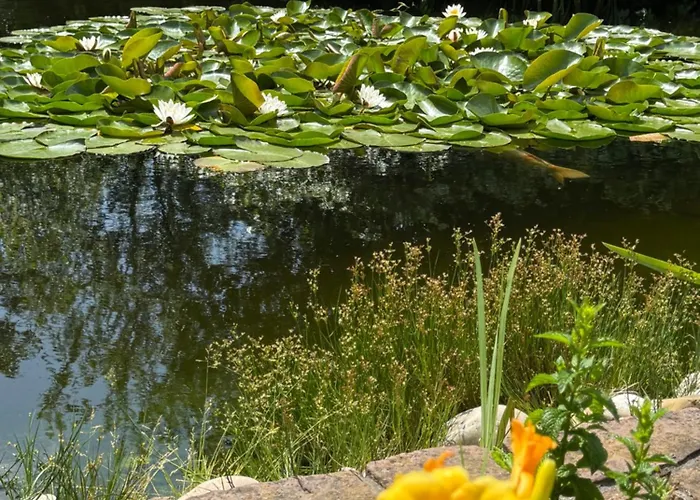 Отель Winzergarten Hotel-restaurant