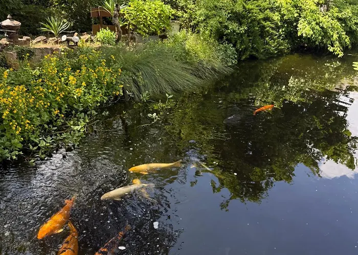 Winzergarten Hotel-restaurant Отель 3*