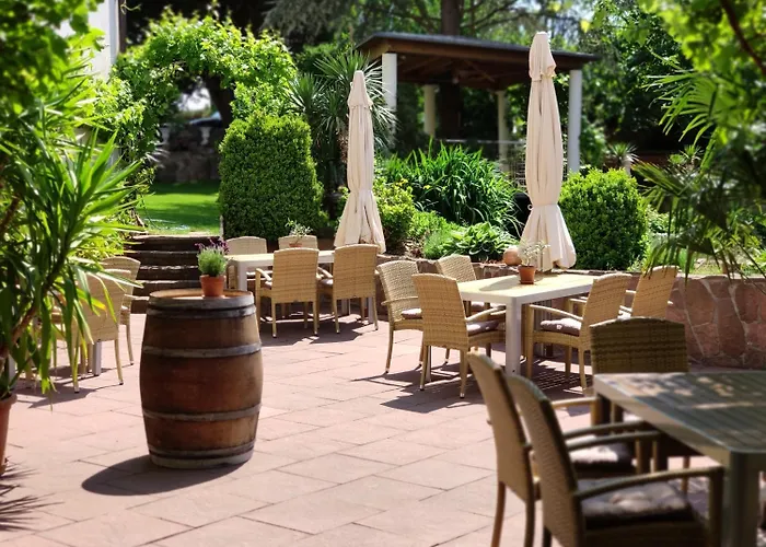 Отель Winzergarten Hotel-restaurant 3*