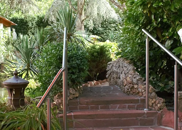 Отель Winzergarten Hotel-restaurant